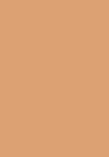 2C5 creamy tan