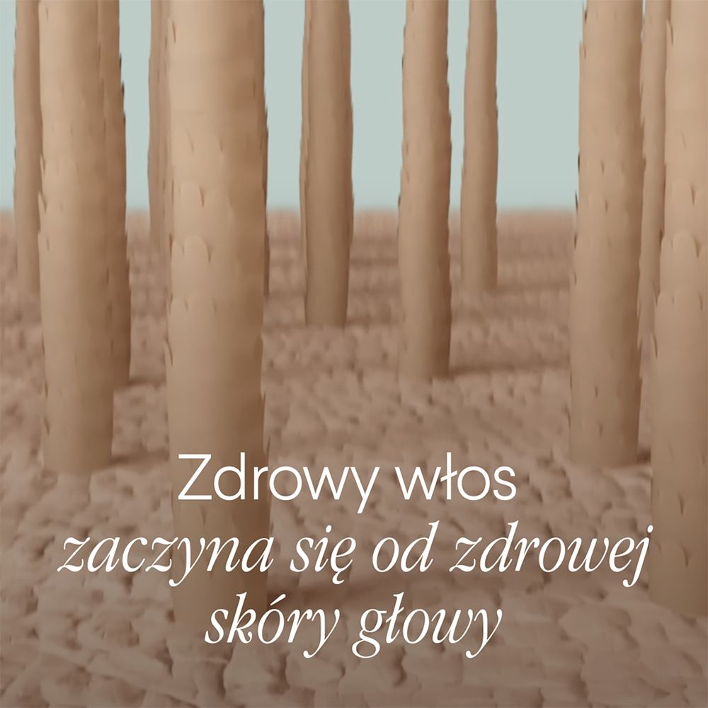 https://d2idw7356vckao.cloudfront.net/media/0af3af3f-b68c-49b1-b9b6-664e5ea4d77e/small.jpeg?v=1784234761