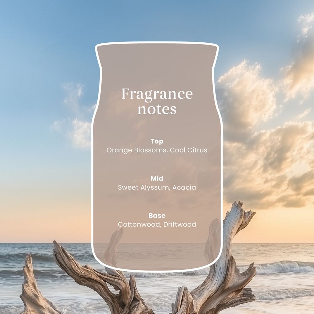 source