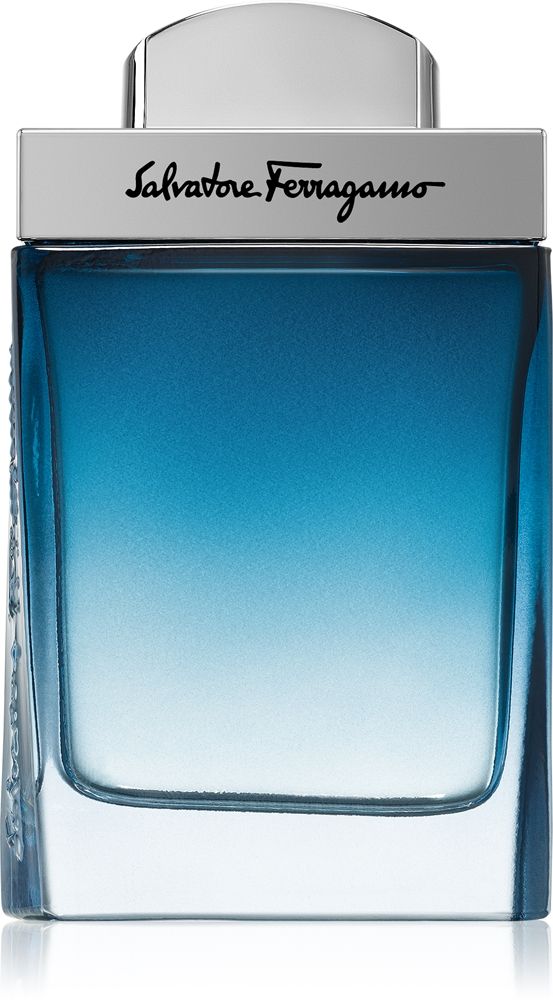 Ferragamo Subtil Pour Homme — foto 1
