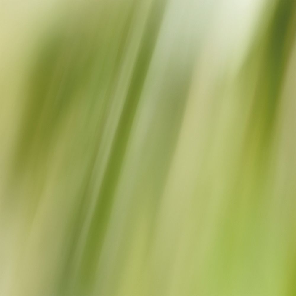 https://d2idw7356vckao.cloudfront.net/media/3dc8af4c-1aeb-4072-8bdd-c9d3fd6fc10c/small.jpeg?v=1784079963