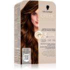 6-68 Caramel Dark Blonde