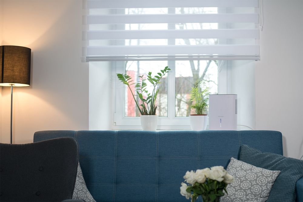 https://d2idw7356vckao.cloudfront.net/media/404dbe8a-e7d6-4291-8d57-d8185a13ebe0/small.jpeg?v=1784060775