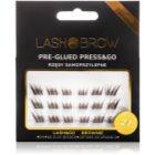 Lashy Brownie