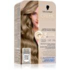 8-16 Cool Ash Light Blonde