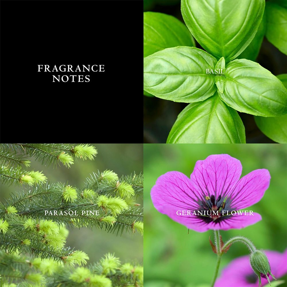 source