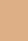 beige - 335W