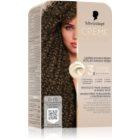 6-16 Cool Ash Dark Blonde