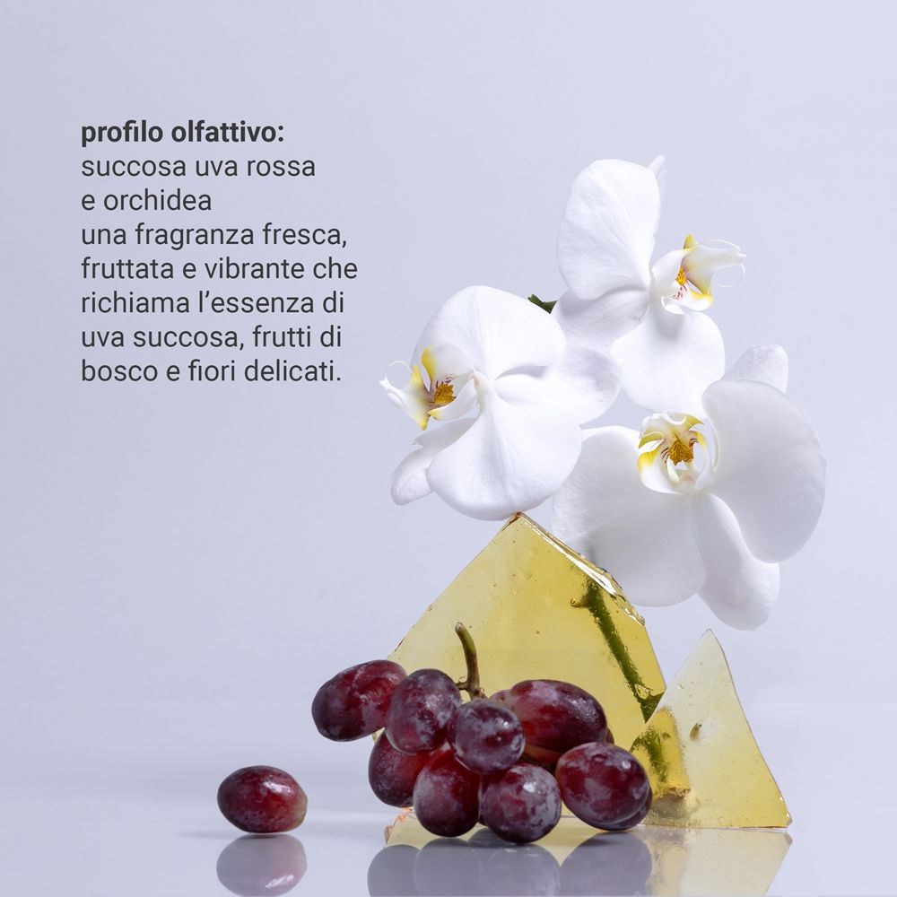https://d2idw7356vckao.cloudfront.net/media/bba5d341-7f19-4224-8ad4-edac28dab56f/small.jpeg?v=1784251537