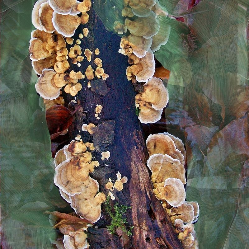 https://d2idw7356vckao.cloudfront.net/media/c5295396-07c7-47bf-b3d2-dd261cfb33dd/small.jpeg?v=1784055794