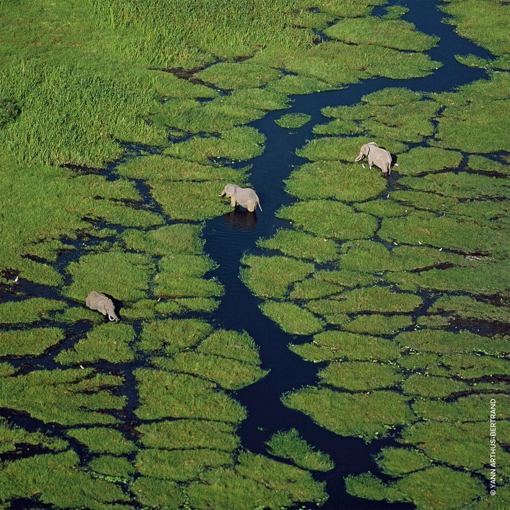 https://d2idw7356vckao.cloudfront.net/media/c649ca56-b80f-49dd-8ee3-6682895c29da/small.jpeg?v=1784121252