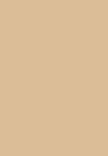 2N1 desert beige