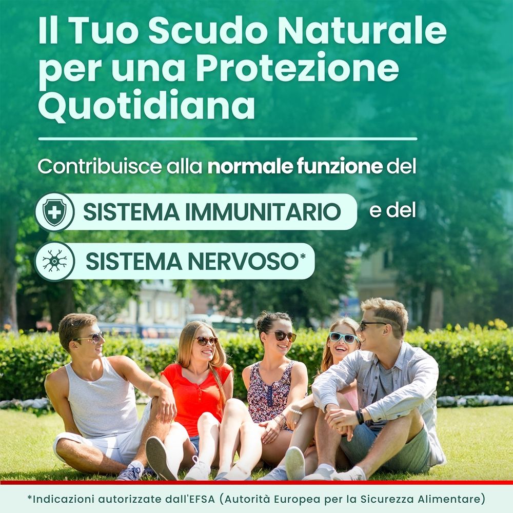 https://d2idw7356vckao.cloudfront.net/media/e030edaa-50e8-447d-83ee-53a4da16d63e/small.jpeg?v=1784335600