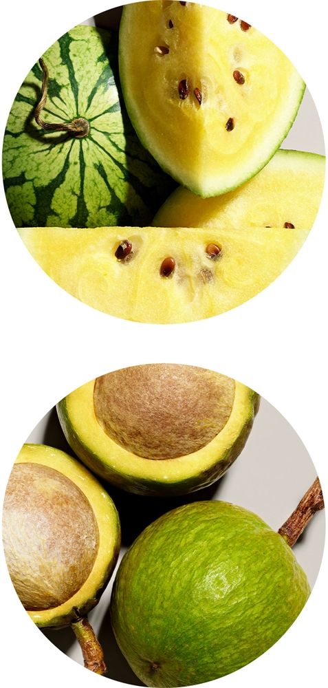 source