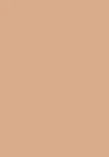 beige - 310N