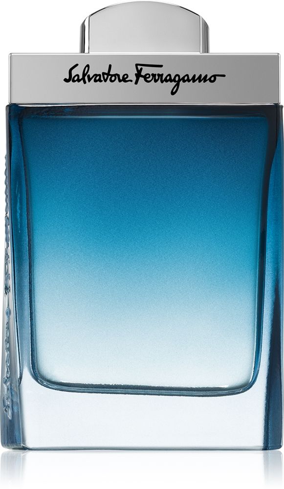 Ferragamo Subtil Pour Homme — foto 2