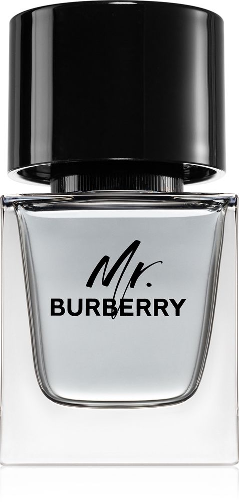 Burberry Mr. Burberry — foto 1